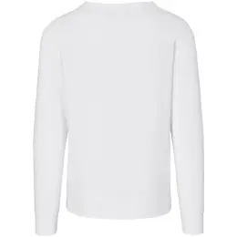 Mens Quinn Crew Neck Sweater White Back